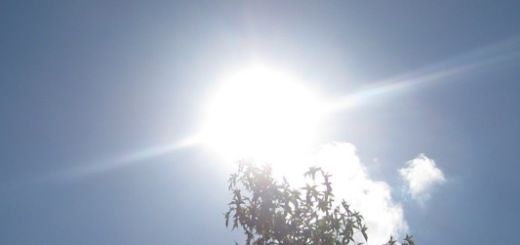 Hitze-Fensterscheiben